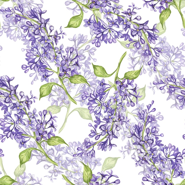 Patrón Lila acuarela ilustración botánica flores lilas