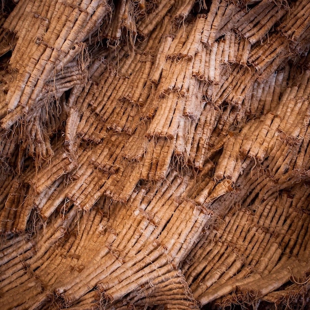 Patrón de madera marrón de marco completo