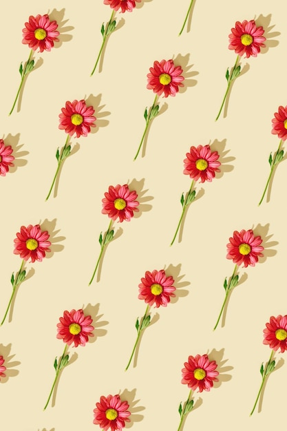 Patrón de moda con flores rojas sobre fondo de color beige neutro Concepto de horario de verano
