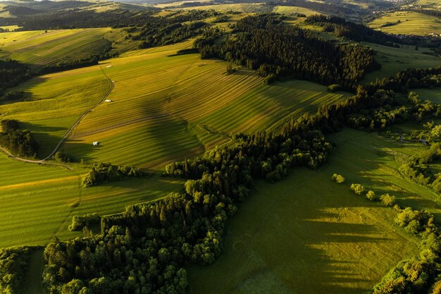 Foto patrón natural en campos agrícolas vista de drones del campo