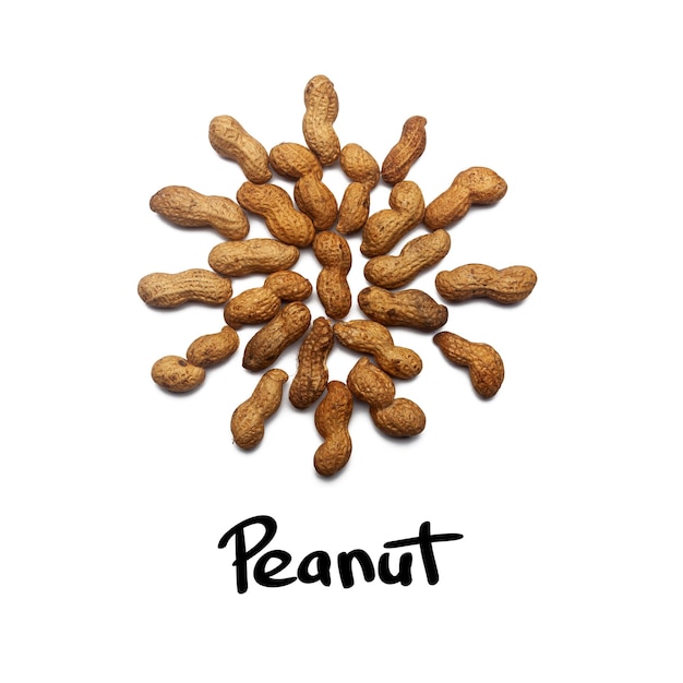 Patrón de nueces cacahuetes sin pelar sobre un fondo blanco en forma de círculo Conceptos sobre decoración alimentación saludable y antecedentes alimentarios
