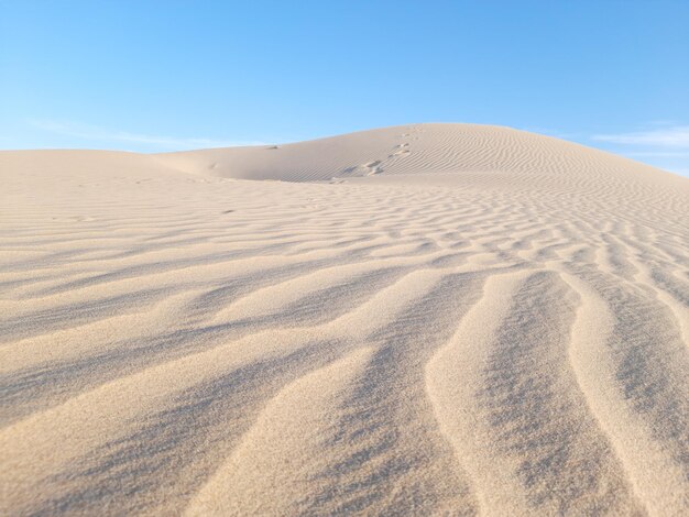 Foto el patrón de las olas en el desierto