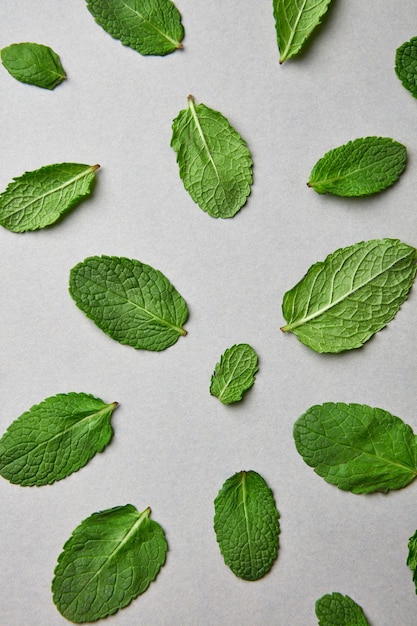 Patrón de pétalos verdes de menta con gotas de agua