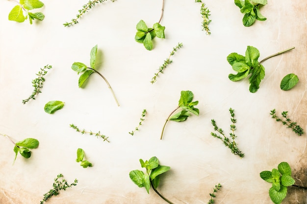 Patrón plano de hierbas verdes frescas menta y tomillo, vista superior. Fondo de pantalla o concepto de cocina vegana saludable de primavera o verano