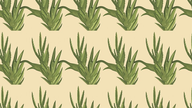 Patrón de la planta de aloe vera