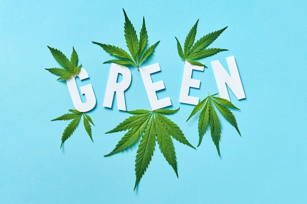 Patrón de planta con hojas de cannabis y letras de papel blanco verde sobre un fondo azul claro.
