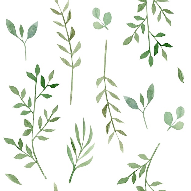 Patrón de plantas sobre fondo blanco Ilustración dibujada a mano en acuarela Se puede utilizar en telas y pa