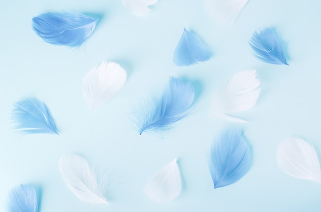Patrón de plumas azul y blanco sobre fondo azul