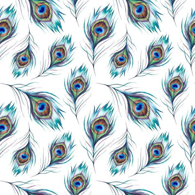 El patrón de plumas sin costuras La ilustración está pintada a mano ejecutada en acuarela Una hermosa pluma de pájaro Fénix de colores brillantes en un fondo beige Ornamento indio nativo americano asiático