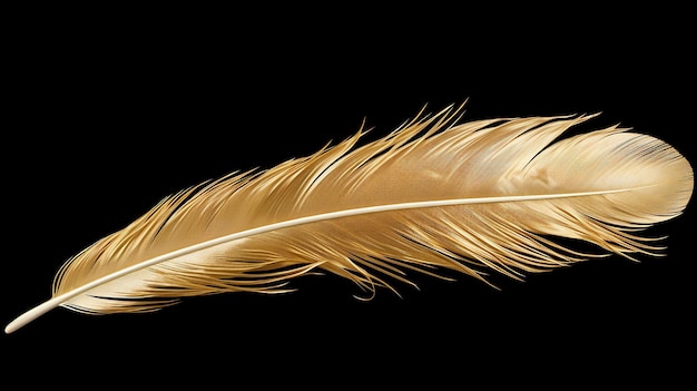 El patrón de plumas doradas en varias posiciones y ángulos