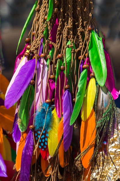 Foto patrón y plumas de pájaro hermosas tiernas