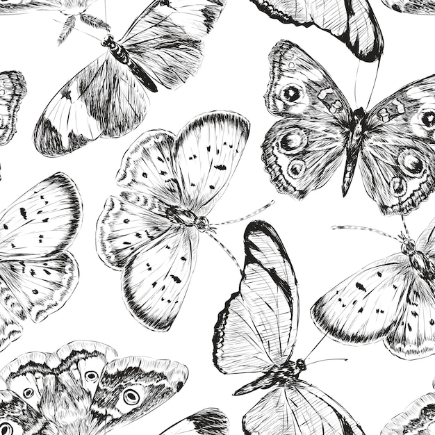 El patrón png de la mariposa vintage el fondo transparente