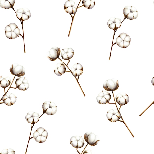 Patrón realista sin costuras rama de flor de algodón acuarela dibujada a mano clipart esponjoso blanco aislado