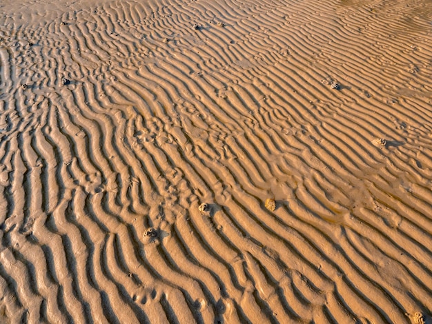 Patrón y textura de arena en la playa creada por las olas y la brisa marina al atardecer Fondo de playa de arena húmeda para vacaciones de verano y conceptos de vacaciones de viajes tropicales