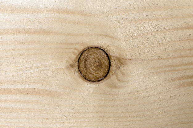 Patrón de textura de tablero de árbol de madera