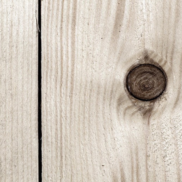 Foto patrón de textura de tablero de árbol de madera