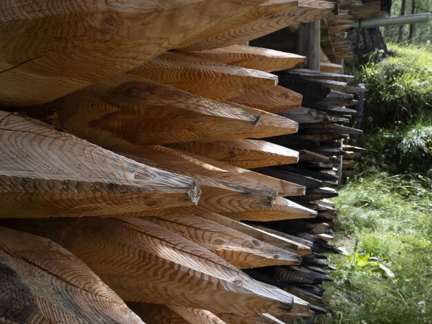 Patrón de troncos de madera puntiaguda