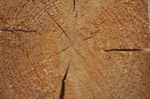 El patrón de vigas de madera crossspila