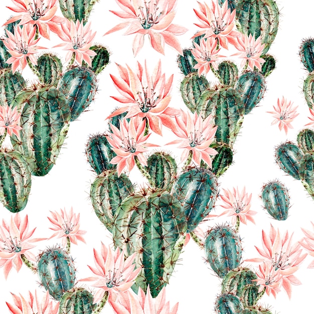 Patrón WaterÑ olor con cactus. Ilustración