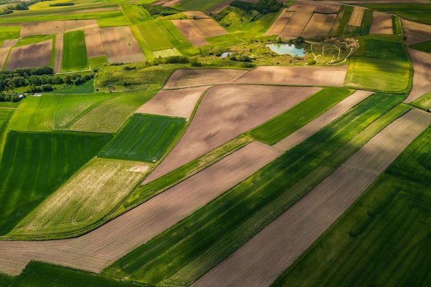 Patrones de campos de agricultura en el campo rural Vista aérea de drones