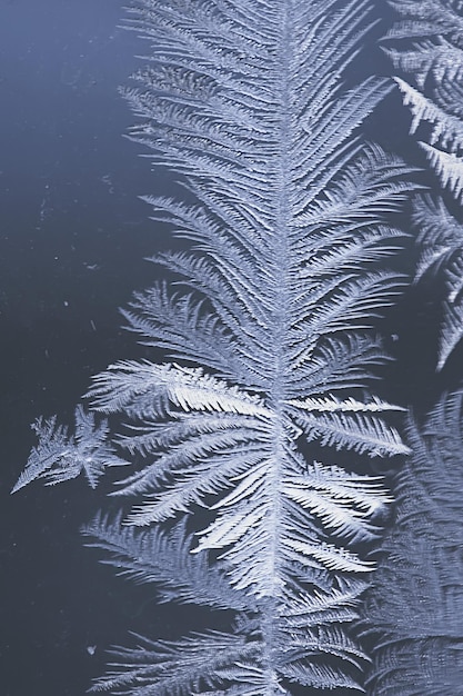 patrones de escarcha en el cristal de la ventana, fondo abstracto nieve de invierno