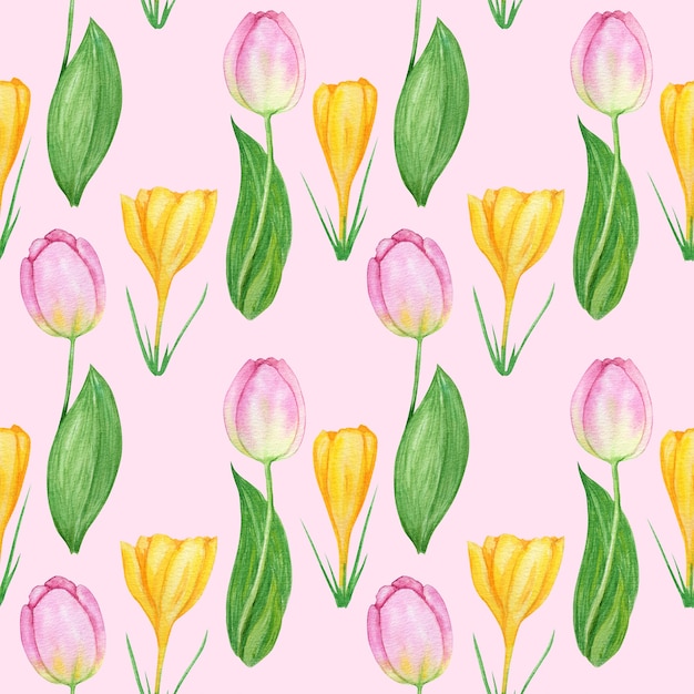 de patrones sin fisuras con flores de primavera de azafrán y tulipán. fondo de ilustración de acuarela de tulipanes