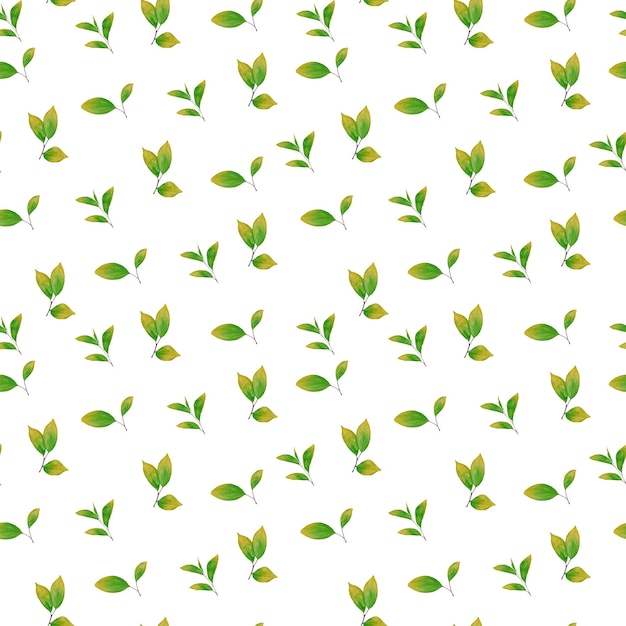 Patrones sin fisuras con hojas de acuarela verde