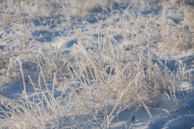 Patrones de nieve texturas primer plano de fondo de navidad