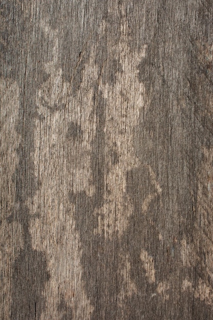 Patrones de tablones de tableros de madera Grunge sobre fondo de parquet desgastado