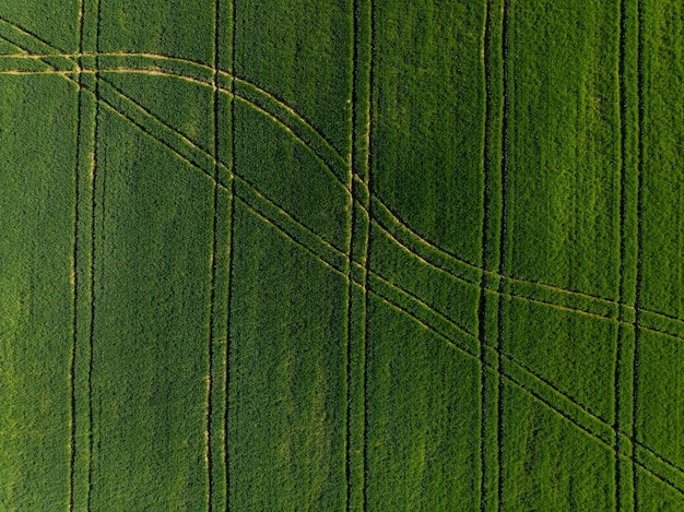 Patrones de tractores en campos agrícolas de drones