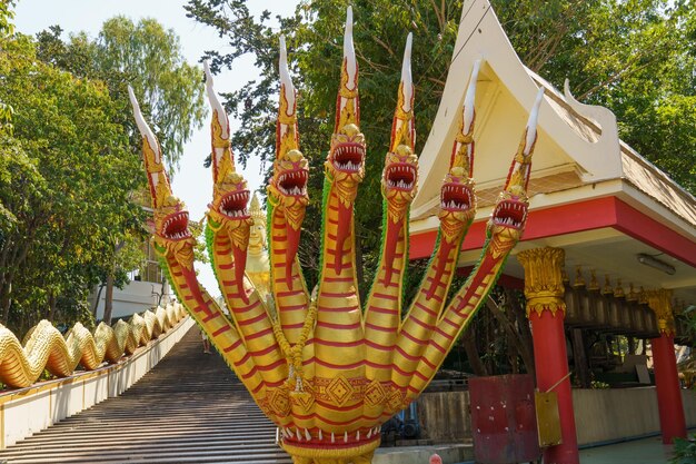 Foto pattaya en el país de tailandia