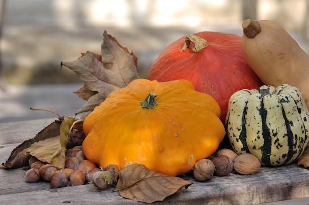 Pattypan mit anderem Kürbis