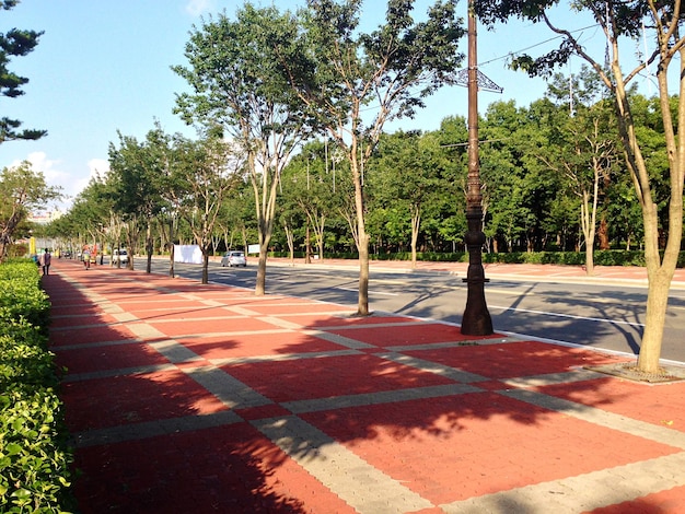 Foto pavimentación de acera de piedra en medio de árboles y plantas por la calle contra el cielo