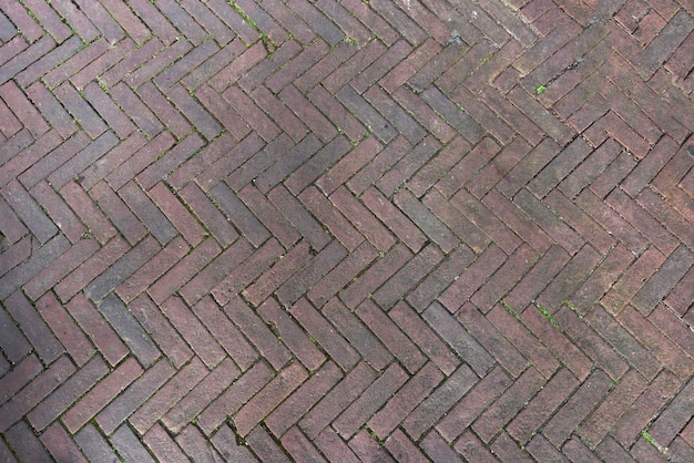 pavimentadoras colocadas de tijolos de concreto cinza em um padrão de espinha de peixe.