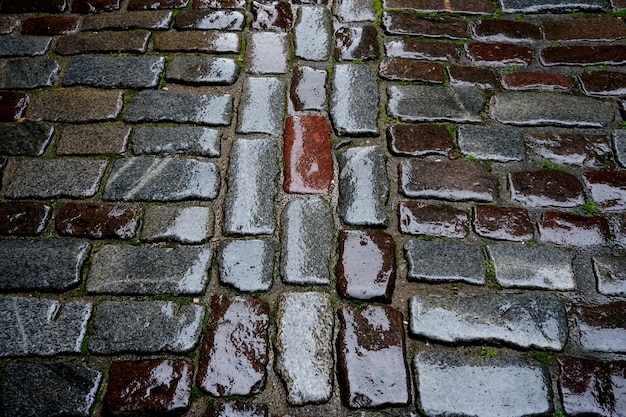 Pavimento de piedra en la calle bajo la lluvia