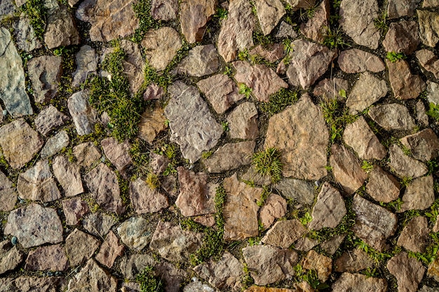 Pavimento de piedra natural con hierba pequeña y plantas entre las piedras.