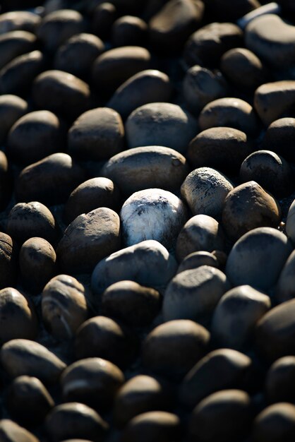 Pavimento de piedra