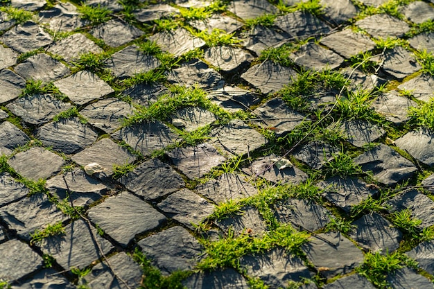 Pavimento con rayos de sol adoquines