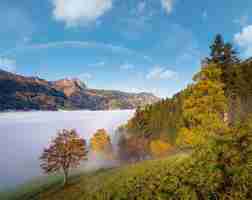 Foto paz na manhã nebulosa de outono vista da montanha da trilha de caminhada de dorfgastein para os lagos de paarseen land salzburg áustria