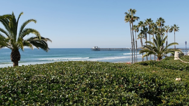 Pazifischer Ozeanstrand, grüne Palmen und Pier. sonniger Tag, tropisches Resort am Wasser. Aussichtspunkt in Oceanside, in der Nähe von Los Angeles, Kalifornien, USA. Sommermeerküste, Seelandschaft und blauer Himmel