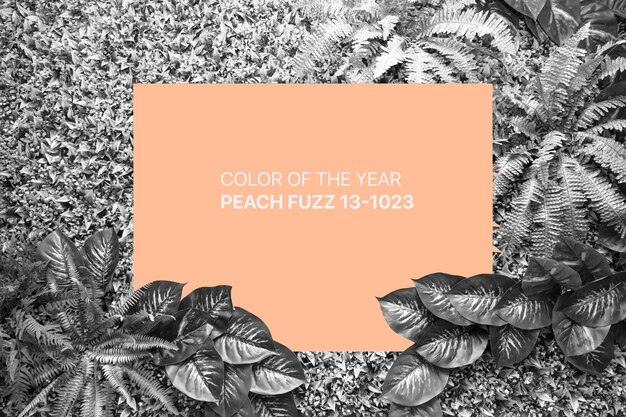 Peach Fuzz-Farbhintergrund aus Blättern und Leer für Ihr Design oder Text Farbe des Jahres 2021