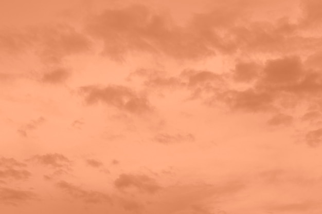 Foto peach fuzz tonado cielo y nubes fondo monocromático 2024 color del año