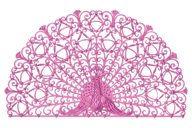 Peacock rosa png pegatina de animal de fondo transparente remezclado por rawpixel
