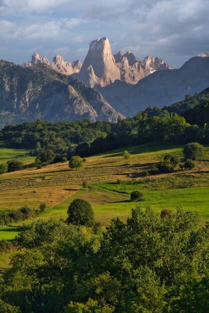 Peak urriellu oder Naranjo de bulnes.