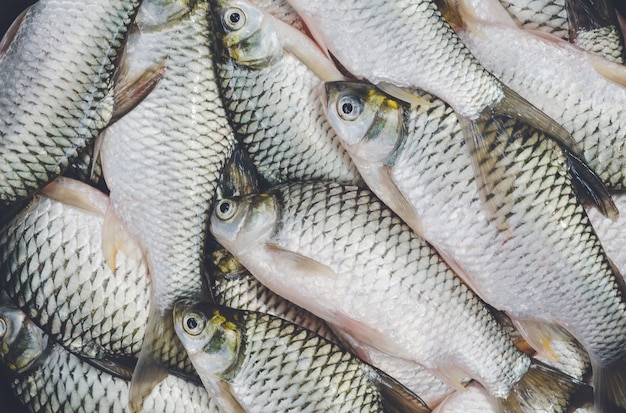 peces de agua dulce Barbonymus gonionotus Peces de productos en masa del mercado de productos frescos