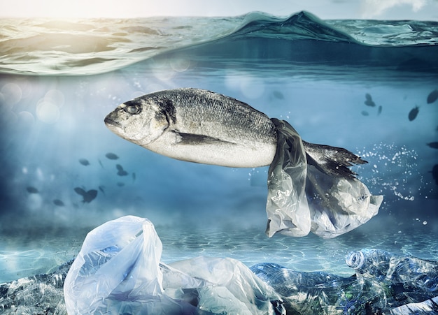 Peces atrapados por una bolsa flotante. Problema de contaminación plástica bajo el concepto del mar.