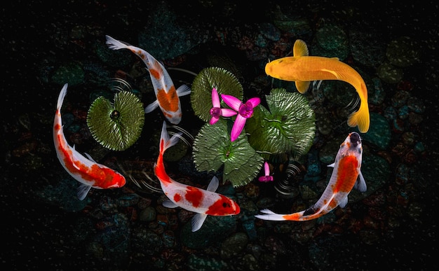 Los peces koi nadan en estanques artificiales con un hermoso fondo de plantas verdes