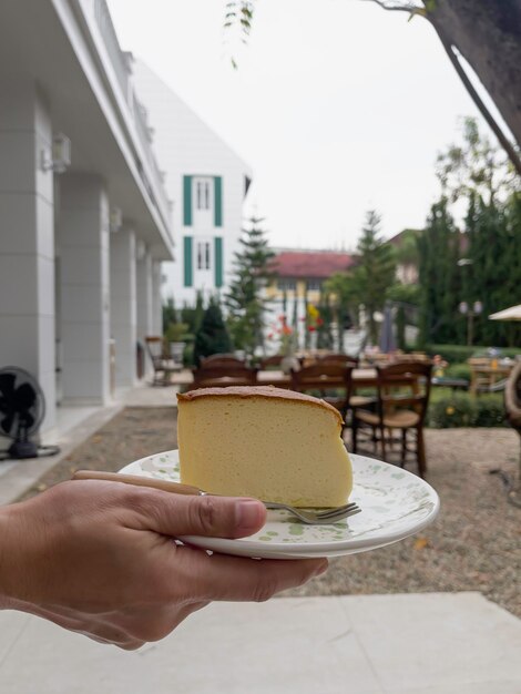 Pedaço de cheesecake servindo no jardim