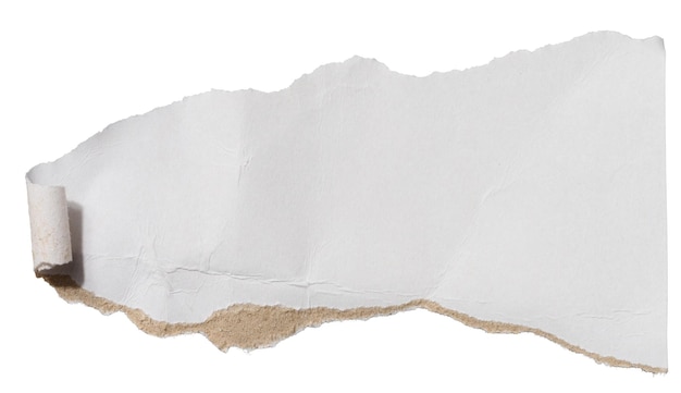Pedaço rasgado de papelão branco com bordas rasgadas em um fundo isolado