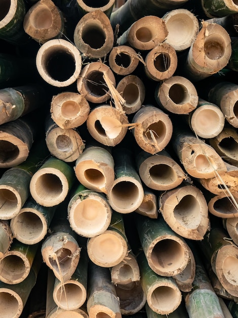 Foto pedaços de bambu verde reunidos em padrões únicos